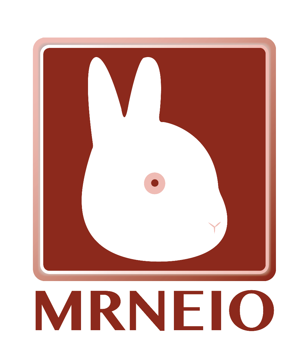 MRNEIO LLC